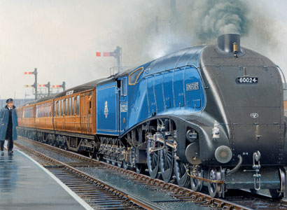 Trains & Model Railway