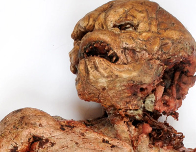 Disembowelled Baby Monster Prop used in the production of the Horror Movie F.E.A.S.T