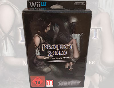 Koei Recmo, a Sealed Project Zero Madien of Black Water