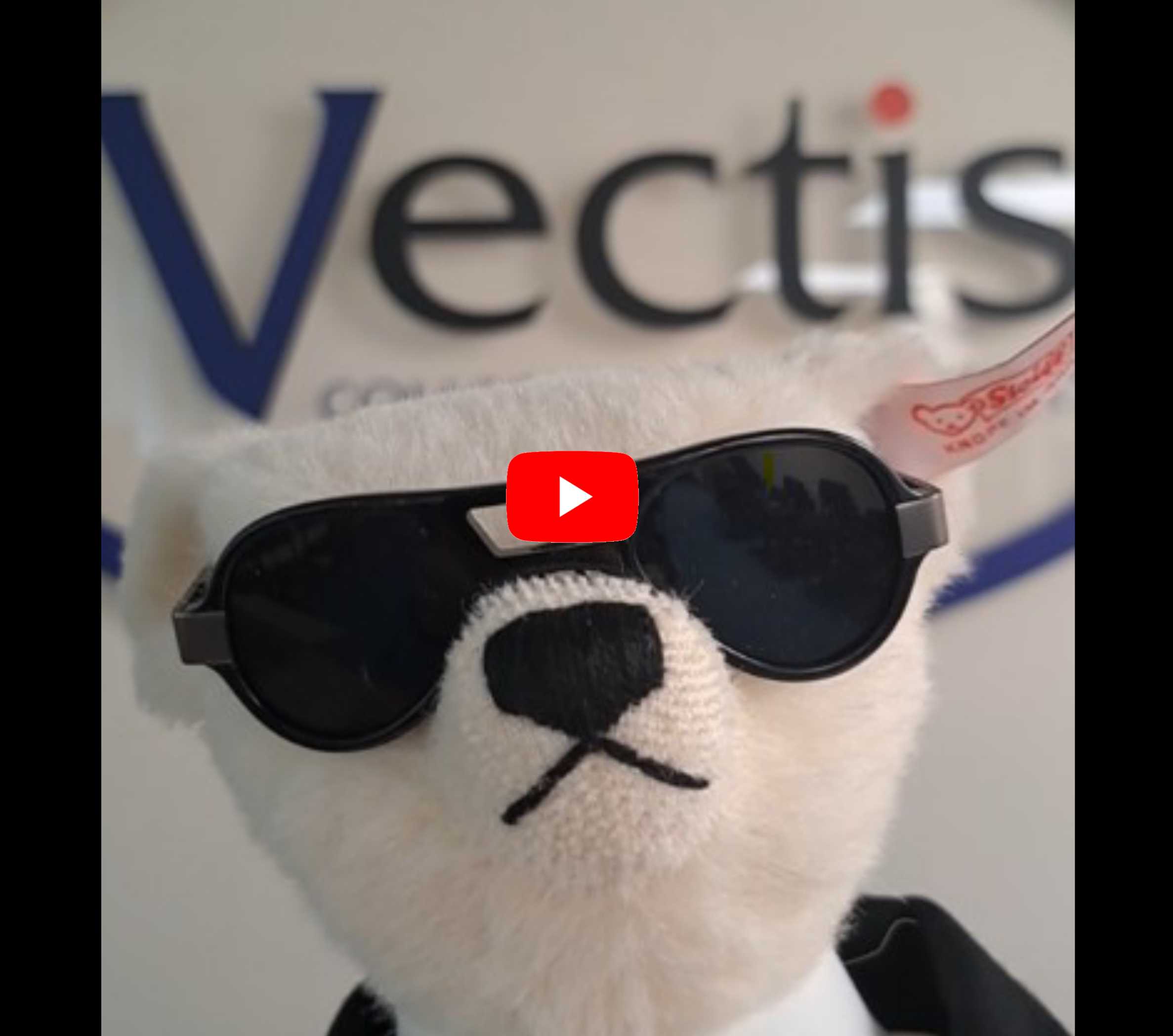 Steiff Karl Lagerfeld bear